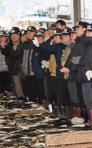 [포토뉴스] 새해를 연다, 새벽을 밝힌다