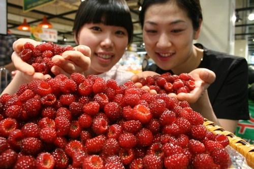 강 살린 대포천 사람들 농산물 브랜드 인기