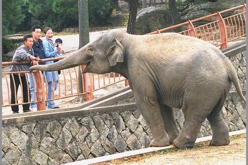 삼돌이가 보고싶다