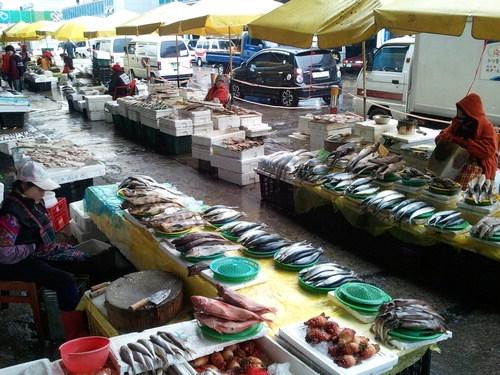 수산업계 잇단 악재에 한숨만…