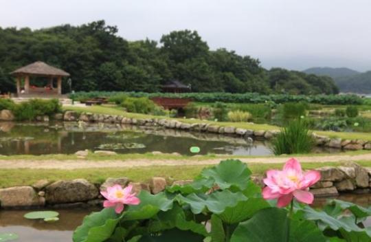 [짱아의 유쾌한 여행] 천년의 숲, 함양상림