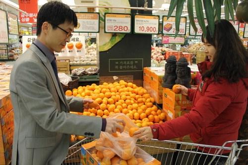 제주도 제철 특산물 최대 40% 더 싸게 유통업체, 특별기획전