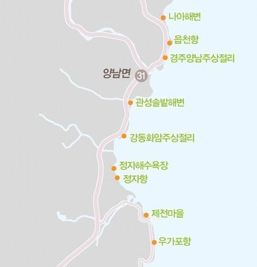 해파랑길에는 야생화가 지천… 바다를 볼까 육지를 볼까 고민