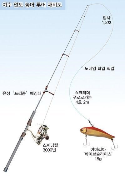 묵직한 입질과 함께 찬란한 은빛 비늘이…