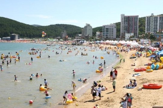 [기장 해수욕장과 축제] 맛과 멋 함께하는 기장 해안가 걸어 봐도, 차로 달려도 좋다