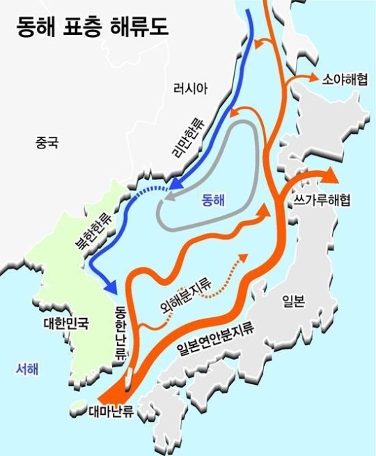 동해 해수 움직임 한눈에 본다