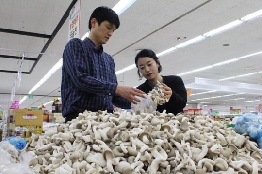 [포토뉴스] 느타리버섯 반값에 팝니다