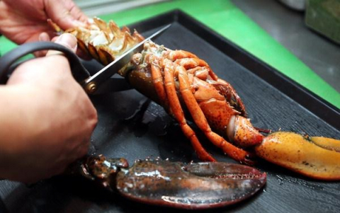 해물찜 전문 석이네 잠수함 롯데 자이언츠 선수들의 힘은 황제찜에서 나온다!