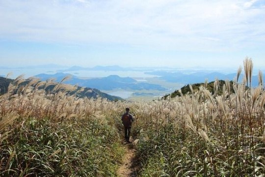 [산&산] <476> 장흥 천관산