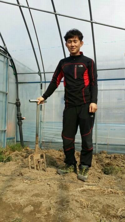 젊은 농사꾼 송창화 씨 토마토 농사 수익 아직은 괜찮지만 치솟는 땅값 치명적