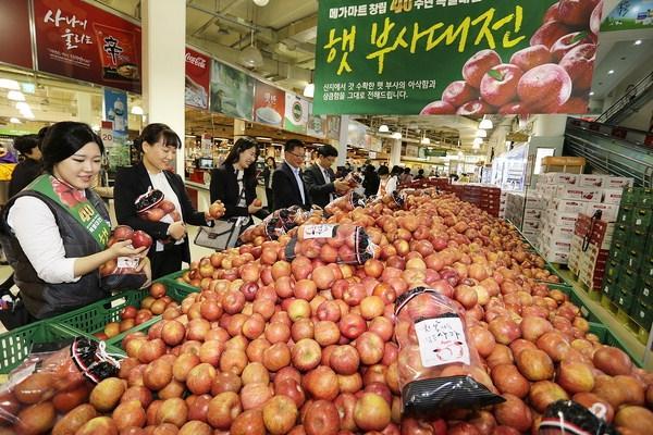 [포토뉴스] 안동 햇부사 맛보세요