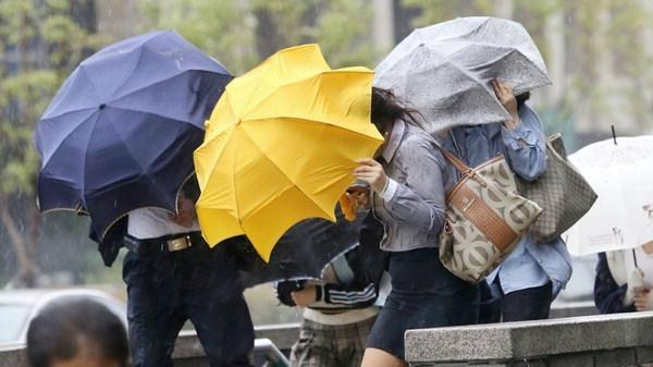 전국 강풍 특보 발효...강풍 특보? 강풍 주의보·경보를 함께 일컫는 예보
