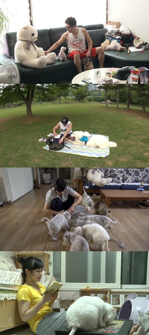 나혼자 산다 지상렬 선우선, 개아빠 고양이집사의 싱글라이프 공개