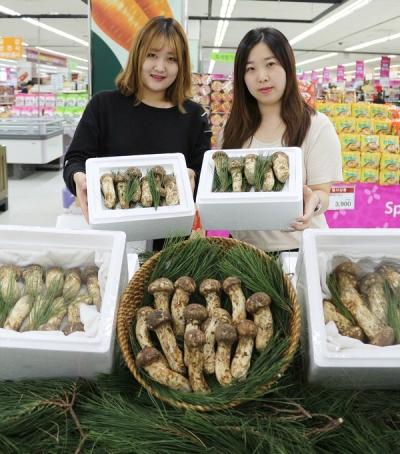 [포토뉴스] 울진 자연산 송이버섯 할인해드려요