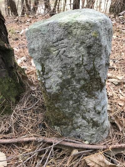 [산&길] <579> 밀양 진등산