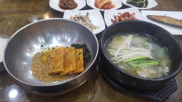 [거제 동백섬 지심도] 붉은 꽃 보러 갔다가 푸른 섬에 반했네