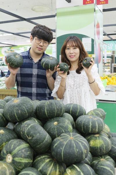 [포토뉴스] 달콤한 노랑 품은 봉화 단호박