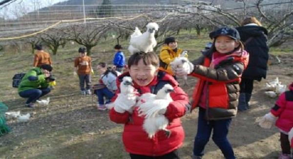 농촌진흥청 여름휴가엔 농촌교육농장으로 놀러오세요