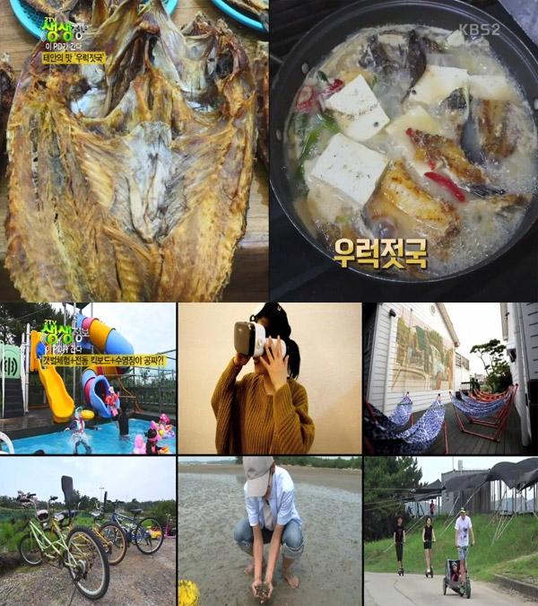 2TV 생생정보 이 PD가 간다, 태안의 맛 우럭젓국-6가지 무료 서비스 펜션