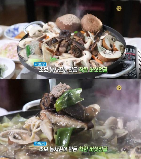 생방송 오늘 저녁 자연밥상, 농사꾼의 착한 버섯전골…보령 청기와 지붕아래