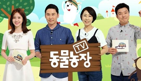 오늘(11일) SBS TV동물농장인기가요 MBC 신비한TV 서프라이즈 모두 결방