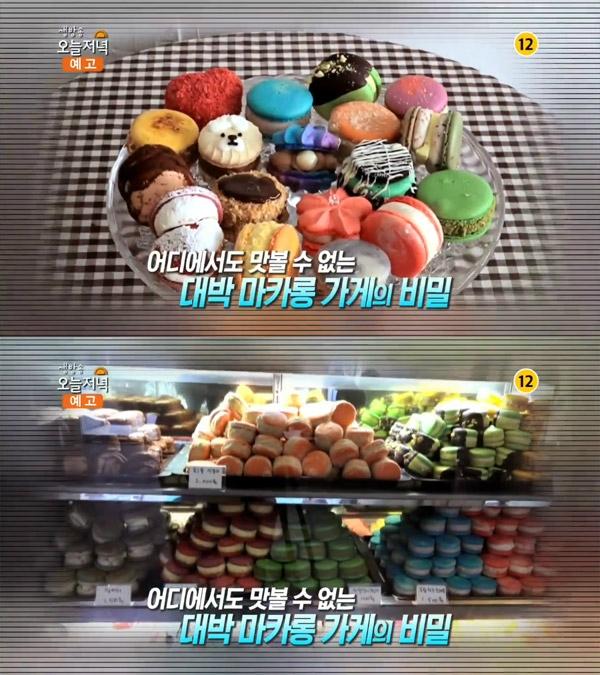 생방송 오늘 저녁 대박의신, 2시간 완판 마카롱…청주 자매상회 연매출 5억