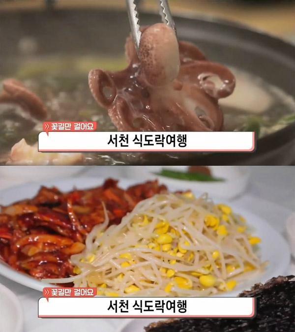생방송 오늘 저녁 서천 식도락여행, 수산시장-신성리갈대밭&장항해장국 제육삼합…꽃길만 걸어요