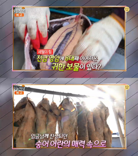 생방송 오늘 저녁 세월의 힘, 8대째 이어져 온 귀한 보물 숭어어란…영암군 군서면 영암어란