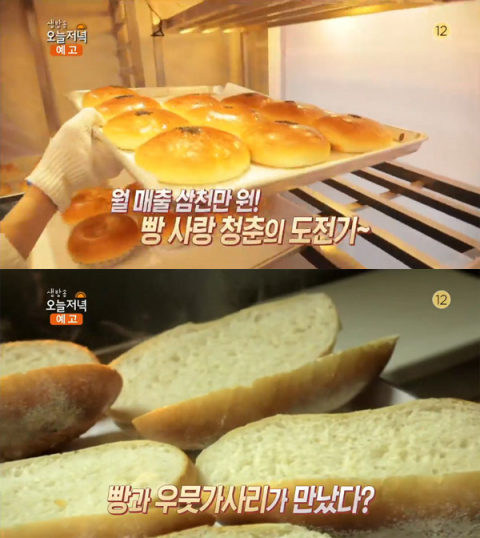 생방송 오늘 저녁 오늘방송맛집, 우맛가사리 식빵&마늘 바게트…성수동 본노엘 대박청춘