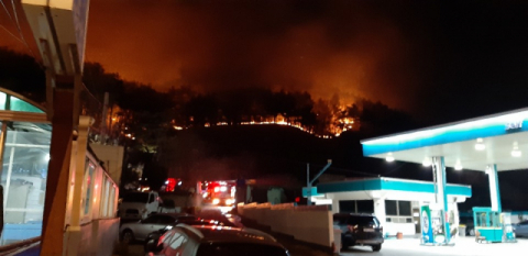 부산 해운대 산불 3번째 재발화 이어 기장군 남대산도 불…진화 총력