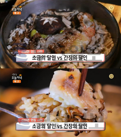 생방송 오늘 저녁 도미솥밥, 강남 신사동 하루루…신비한맛집사전(오늘방송맛집)