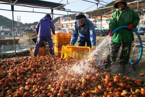 소비 부진에 제철 수산물 직격탄, 어민 ‘울상’