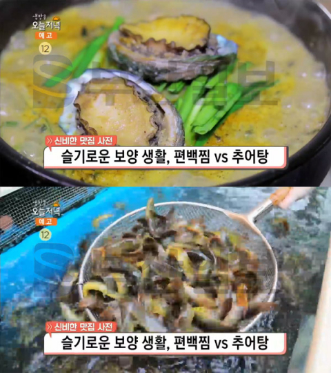 생방송 오늘 저녁 우렁전복추어탕, 안양 곤지네큰집추어탕…맛집사전(오늘방송맛집)