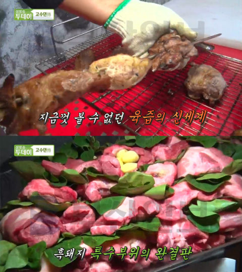 생방송투데이 제주 흑돼지 특수부위 구이, 서귀포시 안덕면 돌담집…고수뎐(오늘방송맛집)