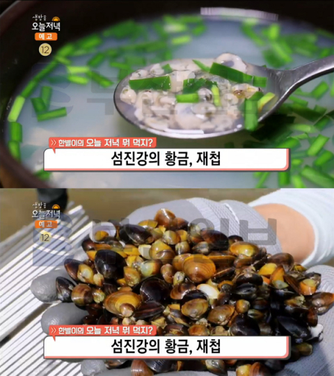 생방송 오늘 저녁 재첩요리(국-전-무침), 경남 하동군 하성읍 해성식당…한별이의 뭐먹지?(오늘방송맛집)