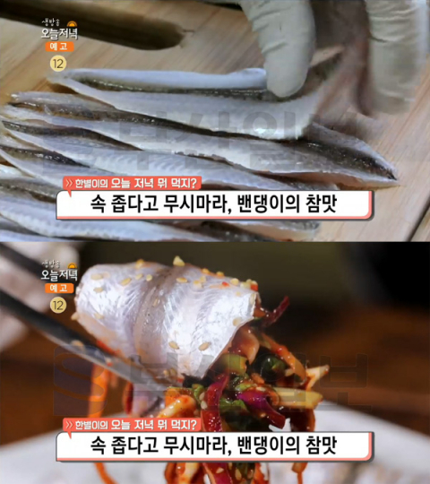 생방송 오늘 저녁 밴댕이 회&회무침, 인천 강화군 볼음도 섬마을민박식당…한별이의 뭐먹지(오늘방송맛집)