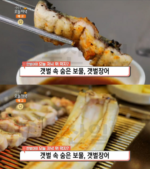생방송 오늘 저녁 갯벌장어, 김포 양촌읍 소루지갯벌장어2호점…한별이의 뭐먹지(오늘방송맛집)