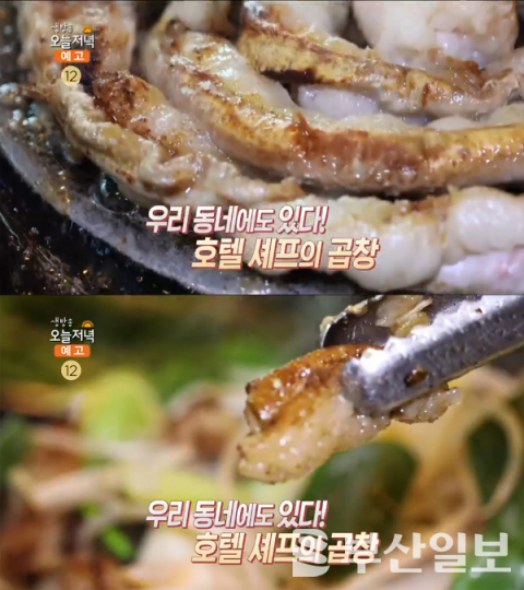 생방송 오늘 저녁 호텔 셰프의 한우모둠곱창, 당산동 일미곱창…유행탐사대(오늘방송맛집)