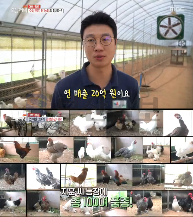 생방송 오늘 저녁 연매출 20억 관상용 닭농장, 진천 초평면 에코팜…대박청춘