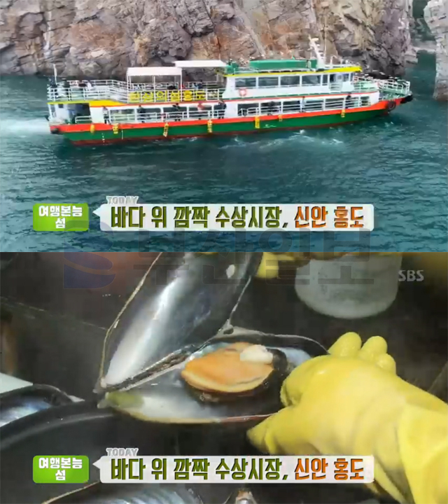 생방송투데이 신안 홍도 불볼락 낚시-유람선&선상횟집-몽돌해변&깃대봉-해녀포차…여행본능섬