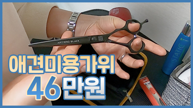 [영상] 애견미용학원 원장의 랜선 집들이, 전문가가 쓰는 홈케어 제품은?