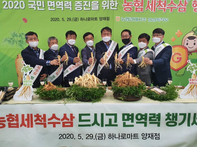 농협, 세척한 수삼 출시…소량 단위 포장