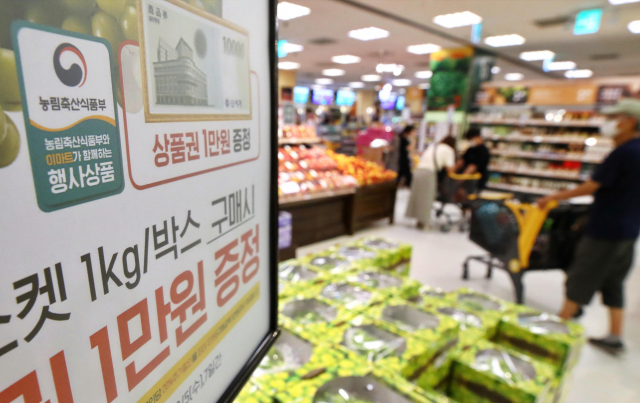 숙박·관광 등 8대 소비쿠폰 순차적 지급
