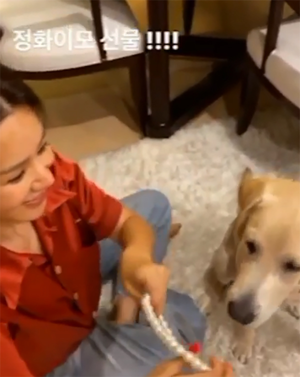 엄정화, 퍼피워킹 중인 해듬이와 해맑은 일상 너무 귀여워서 기절