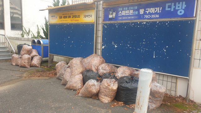 [르포]동부산대 폐교 150일… 상권까지 무너진 대학가