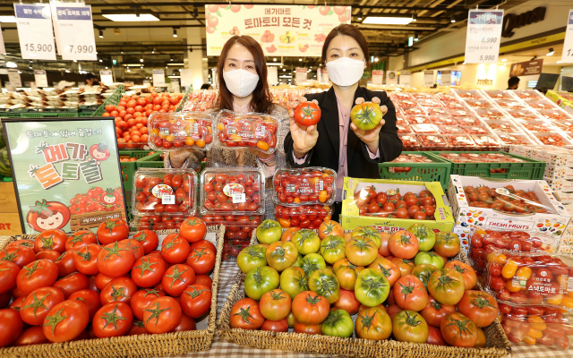 [포토뉴스] ‘전국 유명 산지 토마토 대전’