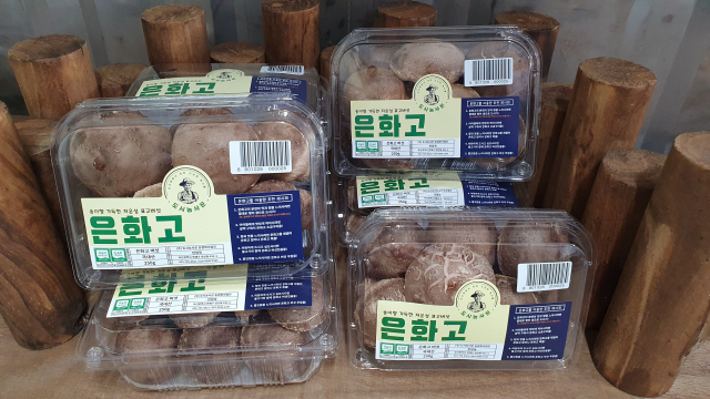 ㈜도시농사꾼, 탑마트 25개점 통해 은화고 판매 재개
