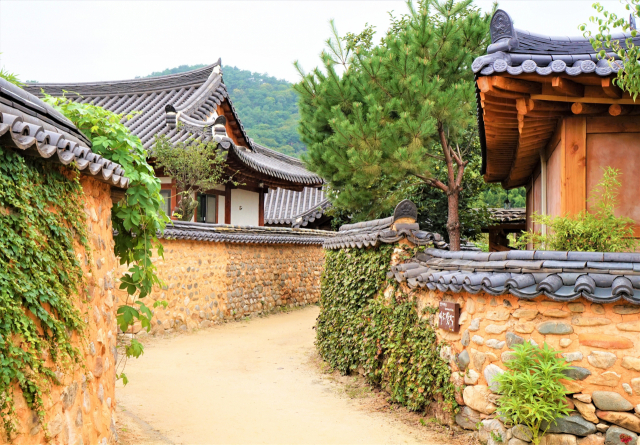 나무야 부부보다 애틋하구나…산청 남사예담촌 여행
