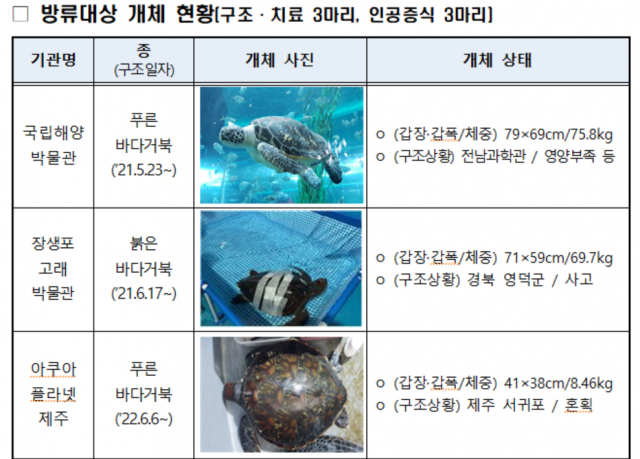 [해양수산 뉴스] 해수부, 바다거북 6마리 해양방류 外