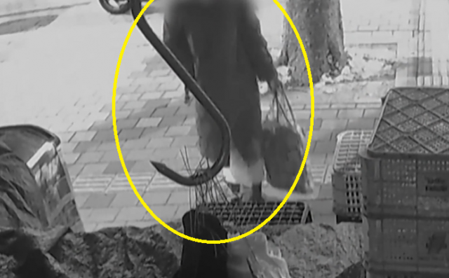 치마 차림으로 가게 침입해 현금·커피믹스 슬쩍… 잡고 보니 40대 남성